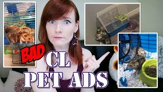 WHAT A NIGHTMARE! | Craigslist Pet Ads | Munchie's Place