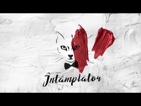 The Motans - Intamplator | Official Audio
