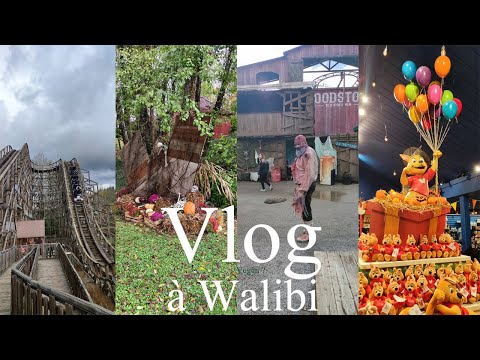 Vlog à Walibi RA: La première et dernière de l'année, Fun avec les copains mais encore déçus.