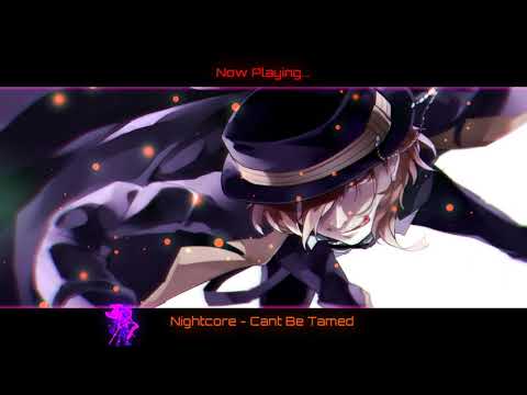 Nightcore - Can't Be Tamed (Male Version)
