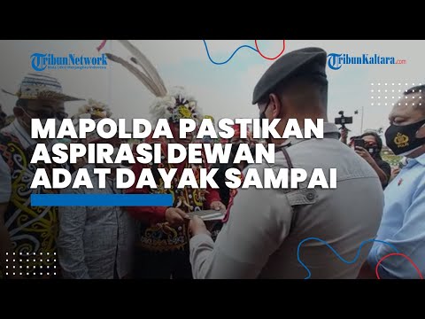 Massa Aksi Dewan Adat Dayak Sambangi Mapolda Kaltara, Dirsamapta Pastikan Aspirasi ke Mabes Polri