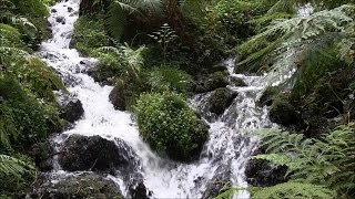 Relaxing nature scene HD -  rushing streams merging -  relaxing water sounds