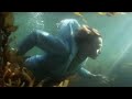 The Phoenix Foundation - Buffalo (Music Video)
