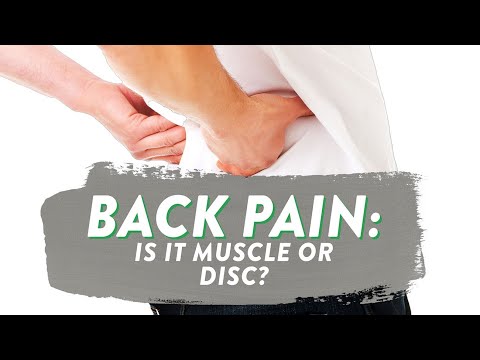 How do you know if back pain is muscle or disc?