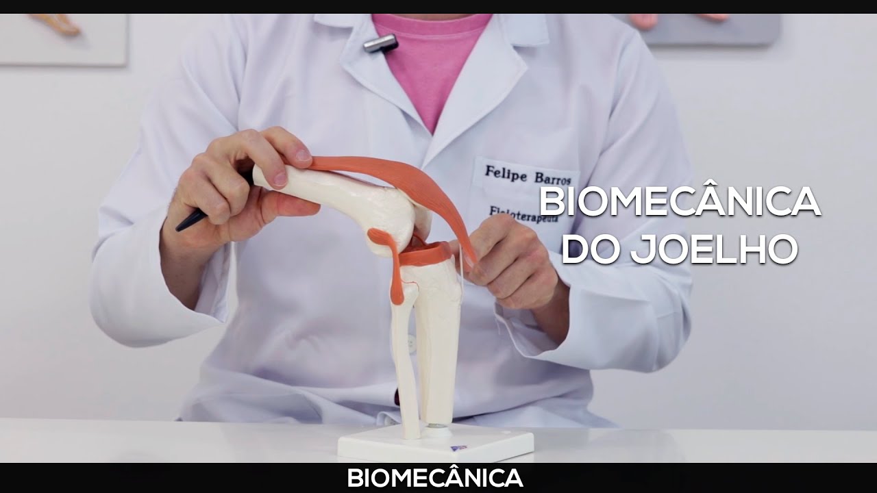 Biomecânica do Joelho