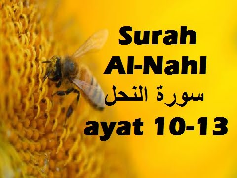 2012/11/05 Ustaz Shamsuri 756 - NE2 Surah An-Nahl Ayat 10-13
