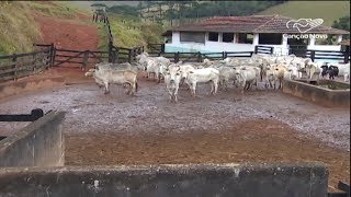 Miniatura do vídeo