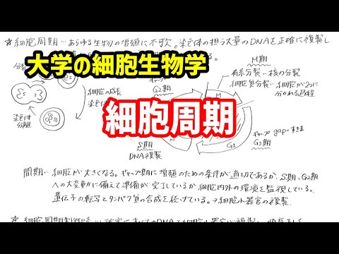 動物学について詳しく解説