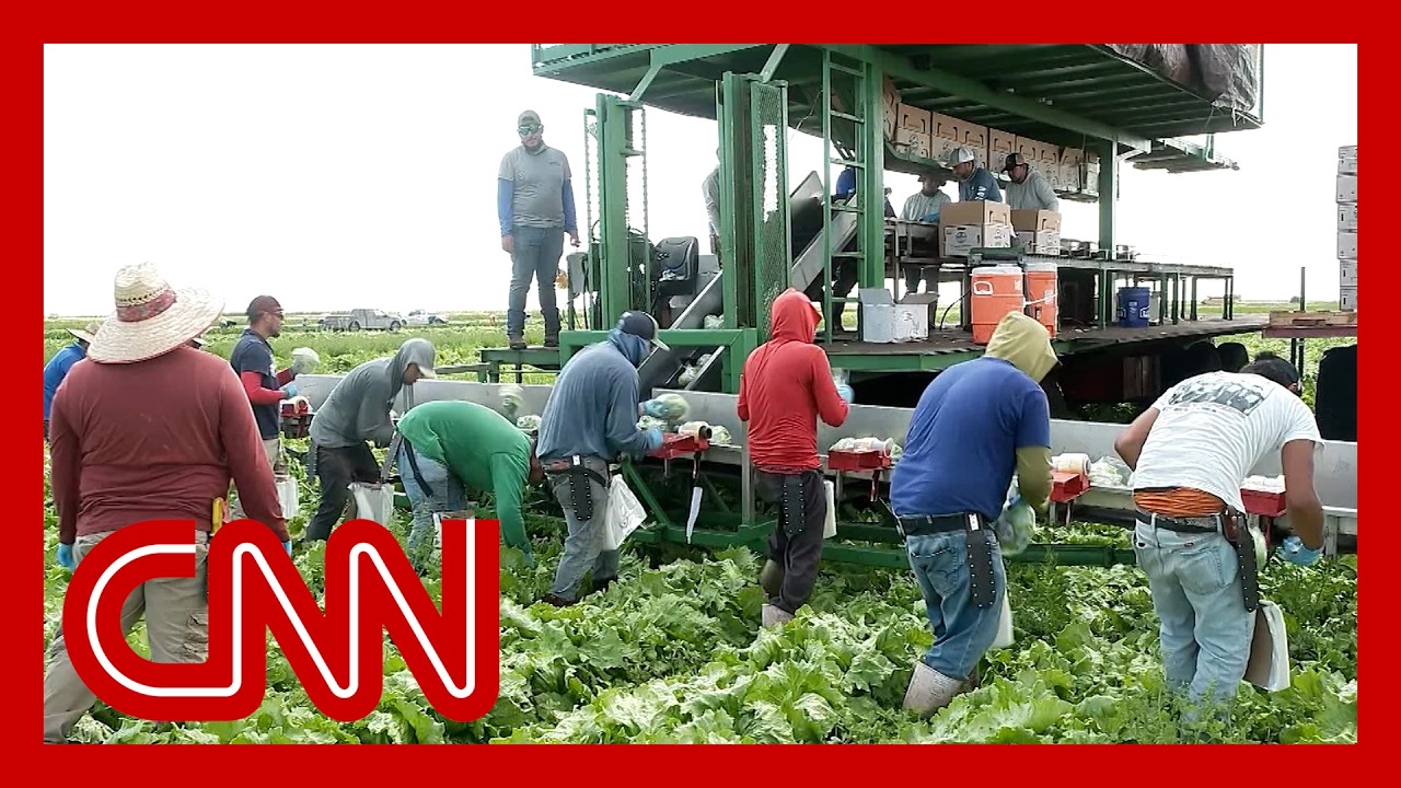 See where migrant workers live after working miles from Mar-a-lago