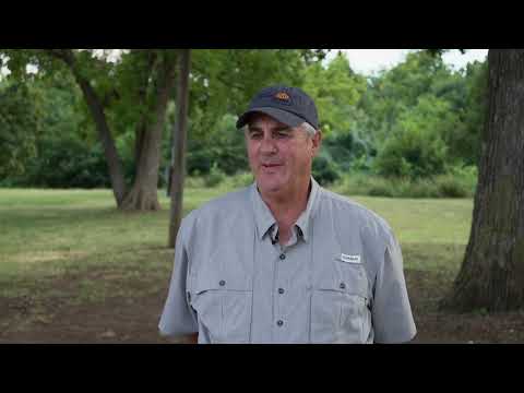 How is Corn Harvest Progressing?