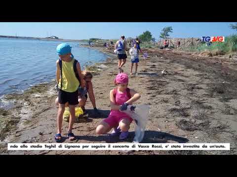 Telegiornale del 27 Maggio 2018