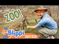Blippi Deutsch Im San Diego Zoo Teil 1