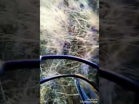 Traseu vranesti 2018