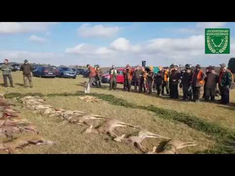 Die Jagdstrecke wird verblasen