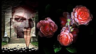 Solomon Burke ❤  You&#39;re the One