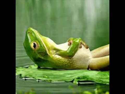 Agnelli Nelson - Holding on to nothing