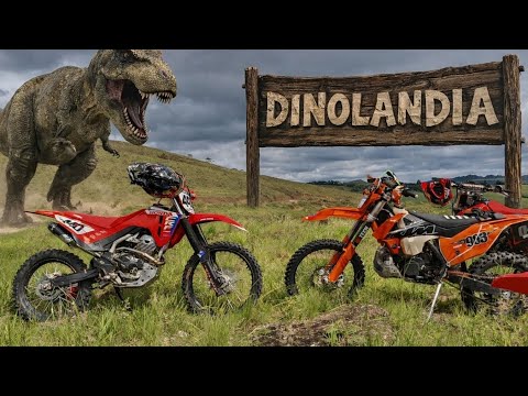 Primeira Do Ano! Adestrando O DINO . LUMINÁRIAS MG 