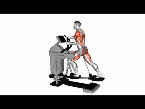 Exercice Vélo élliptique