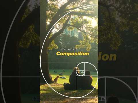 The Power of Composition