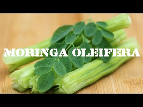 , title : 'Health Benefits of Moringa oleifera'