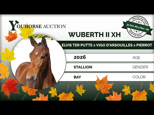 Wuberth II XH