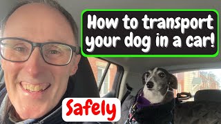 TIPS ON HOW TO TRANSPORT YOUR DOG IN A CAR SAFELY