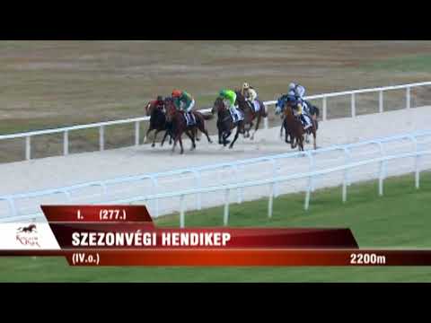 Lósport: Az elmúlt hétvége legjobb galopp-és ügető futamai a Kincsem Parkból