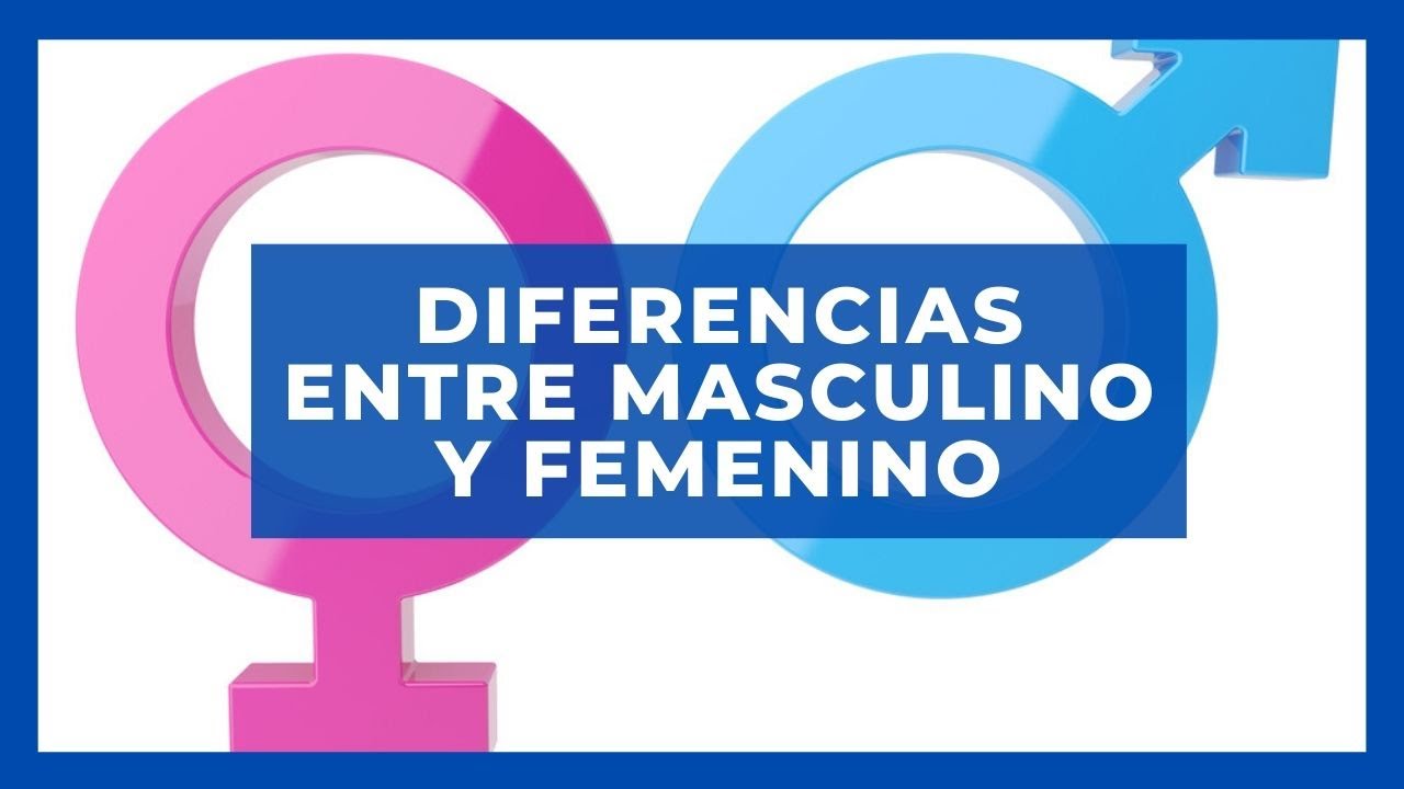 DIFERENCIAS ENTRE MASCULINO Y FEMENINO EN EL IDIOMA FRANCES // CLEM