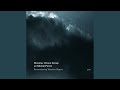 Variations On W. Shorter