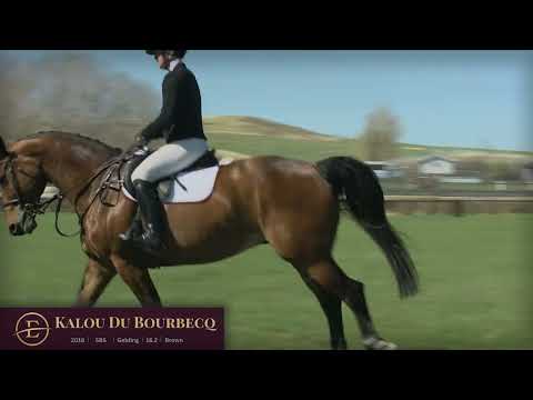 Kalou Du Bourbecq flatwork
