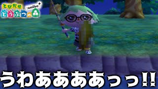 【とび森】6月で一番レアな魚を捕まえた！【とびだせどうぶつの森】