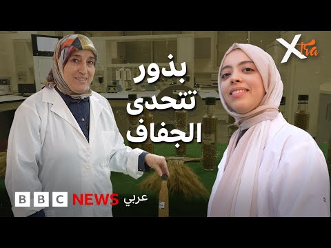 فيديو | كيف يحارب المغرب الأثر السلبي للجفاف؟