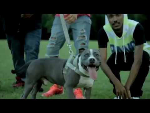 Dreamteam - Tamo Fly (Video Oficial) (Hunter Academy Films)