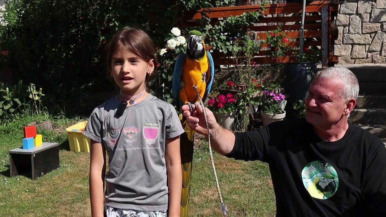 Papoušci do škol a příměstský tábor pro děti, jak si ho užily ?