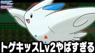 トゲキッスLv2が最初のポケモンだったら殿堂入りまで無双できるのか【ダイヤモンドパール】