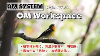 【RAW現像テクニック】OM Workspaceで野鳥写真の明暗差や色被りを処理するコツ│OM SYSTEM
