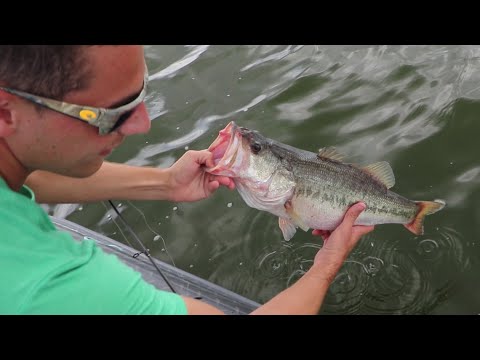 REPLACING JAWS With New MEGA BASS (JAWS DESTROYS HIM)