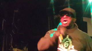 Kool G Rap Wise Guys Live 22.06.17 Bristol UK