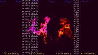 Migas - Arroios Beauty