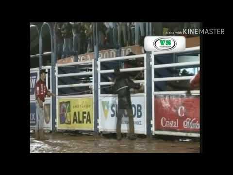 Ananias Pereira  VS  PESADELO