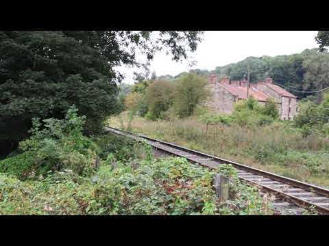 LMS 8F Steam Loco No: 48305 @ New Bridge NYMR - 25.09.21
