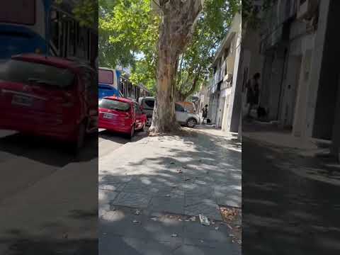 Estamos caminando por la avenida 25 de mayo en la ciudad de #sanmartin #walking #shorts #tour #bsas