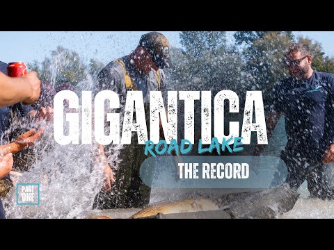 The Gigantica Road Lake Record
