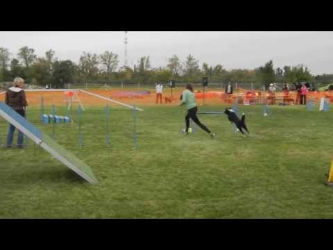 C'est la Vie on Kraft Cup - A1