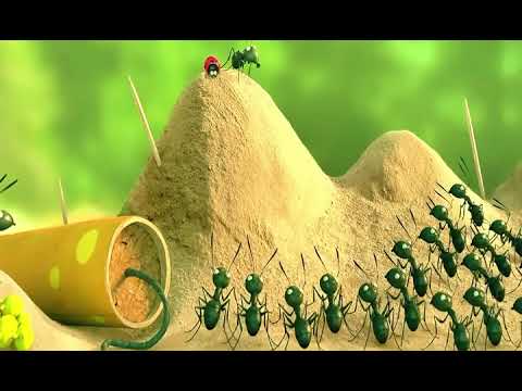 Epic Happiness Alert of ants 🐜war ￼
