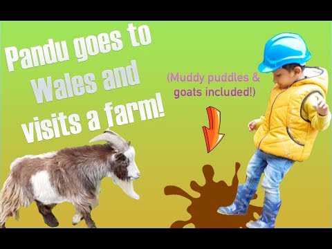 PANDU goes to the beach and farm