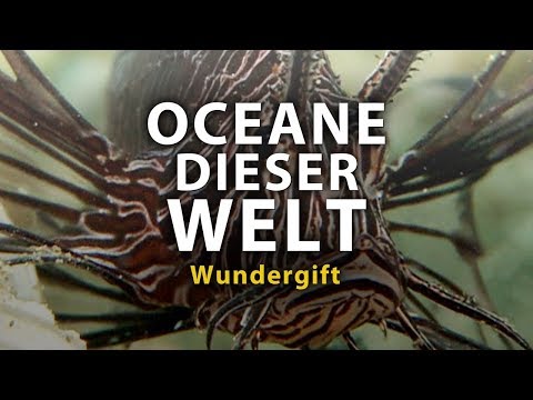 Ozeane dieser Welt - Wundergift (2011) [Dokumentation] | Film (deutsch) ᴴᴰ