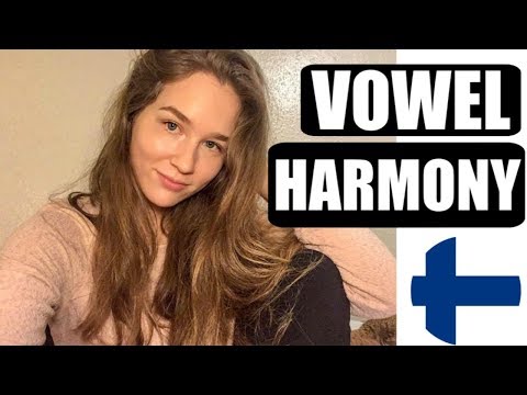 Finnish Vowel Harmony & Which Ending Do I Use?! | KatChats