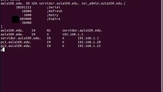 DNS Ubuntu Instalacion y configuracion R Directa