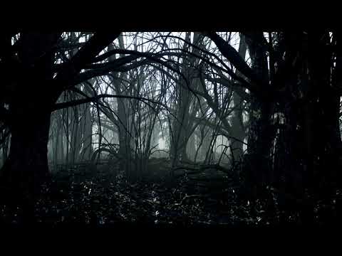 BC x P4TTY - Negativy